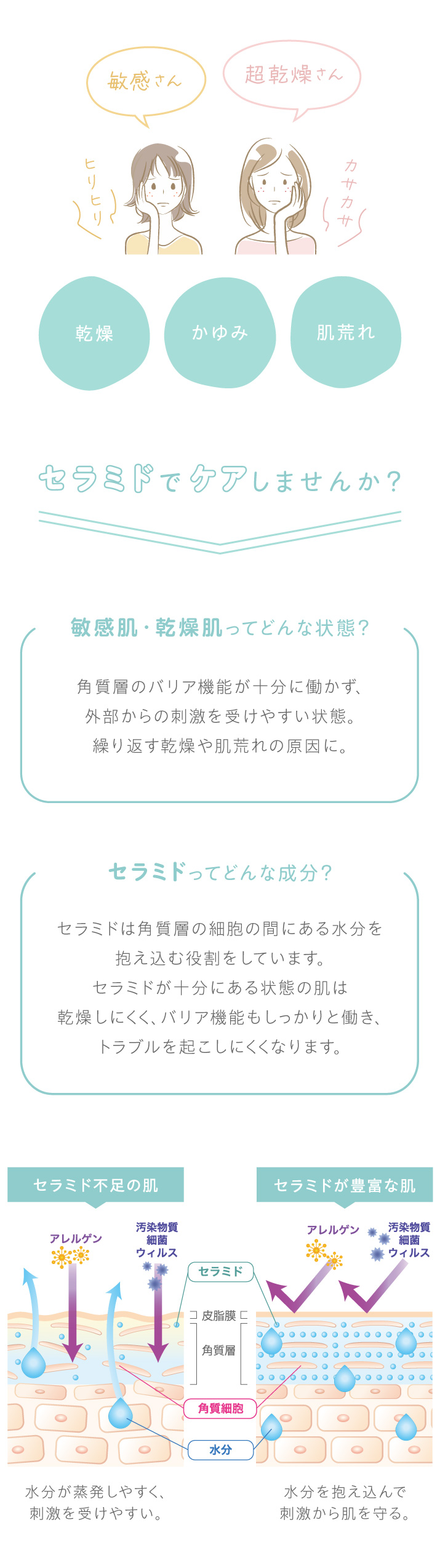 敏感肌のヒリヒリ、乾燥肌のカサカサ、乾燥、かゆみ、肌荒れ、セラミドでケアしませんか？敏感肌・乾燥肌は、角質層のバリア機能が十分に働かず、外部からの刺激を受けやすい状態。繰り返す乾燥や肌荒れの原因になります。セラミドは角質層の細胞の間にある水分を抱え込む役割をしています。セラミドが十分にある状態の肌は、乾燥しにくく、バリア機能もしっかりと働き、トラブルを起こしにくくなります。