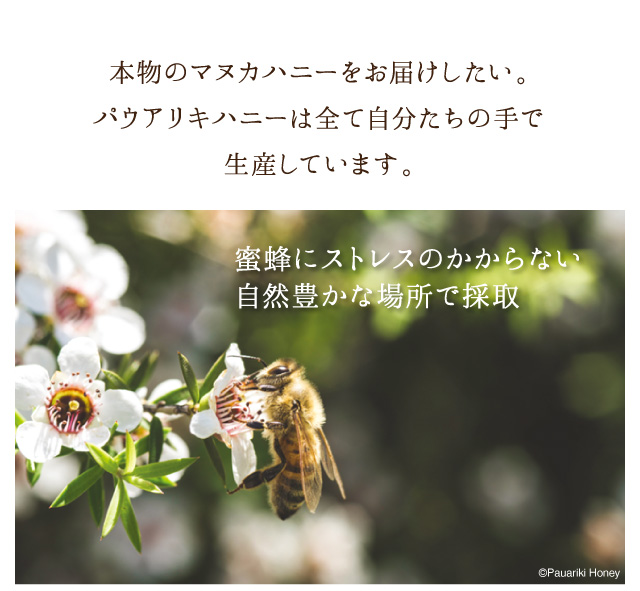 蜜蜂にストレスのかからない自然豊かな場所で採取