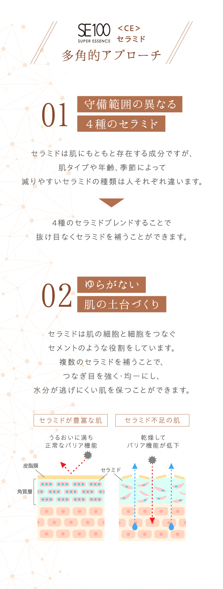 守備範囲の異なる4種のセラミド。　ゆらがない肌の土台づくり。　