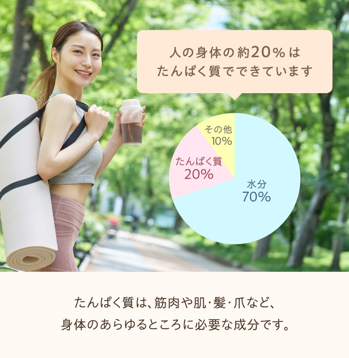 人の身体の約20％はたんぱく質でできています。たんぱく質は、筋肉や肌・髪・爪など、身体のあらゆるところに必要な成分です。
