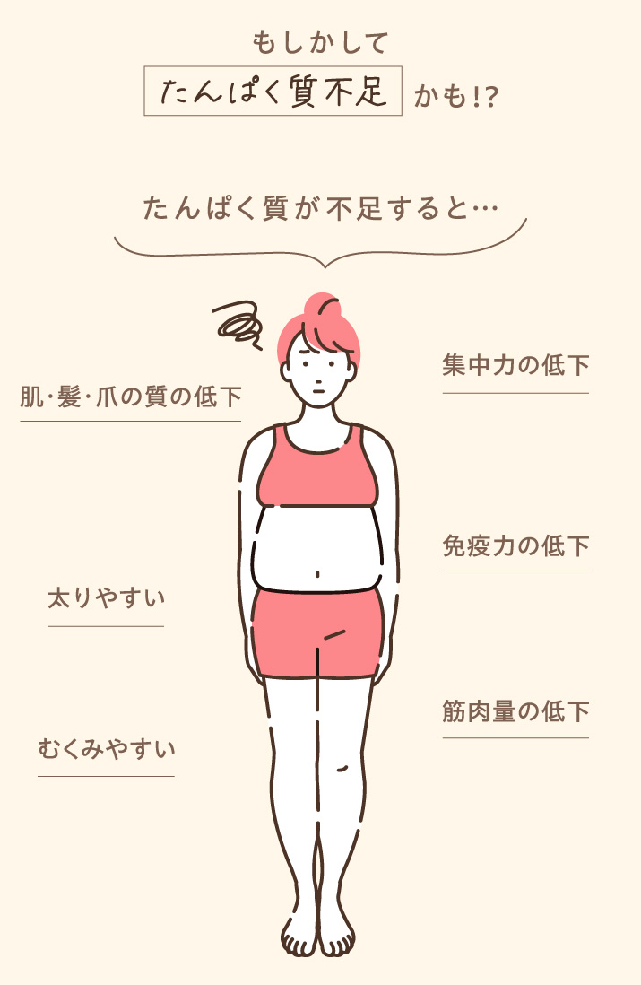 もしかしたら「たんぱく質不足」かも。たんぱく質が不足すると…肌・髪・爪の質の低下、集中力の低下、免疫力の低下、筋肉量の低下、太りやすい、むくみやすい、などのトラブルに。