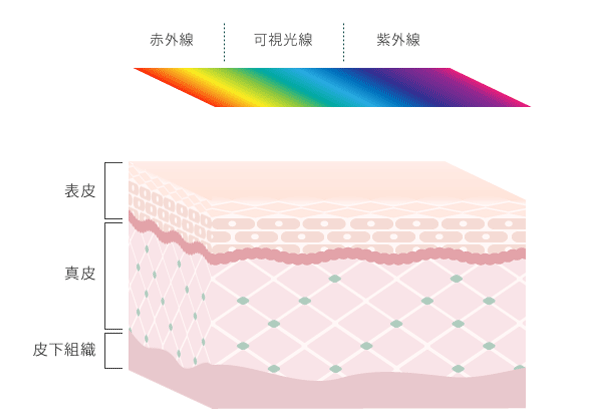 エステサロン品質、ゲル化粧品のラシンシア公式ショップラシンシア