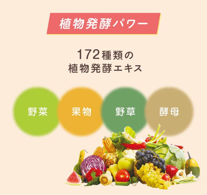 植物発酵パワー 野菜・果実・野草・酵母を使用した172種類の植物発酵エキス