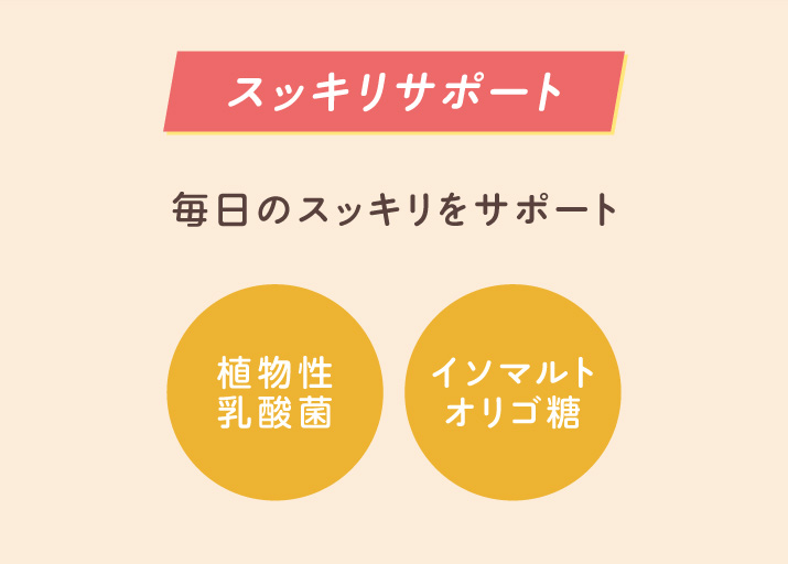 スッキリサポート 植物性乳酸菌 イソマルトオリゴ糖