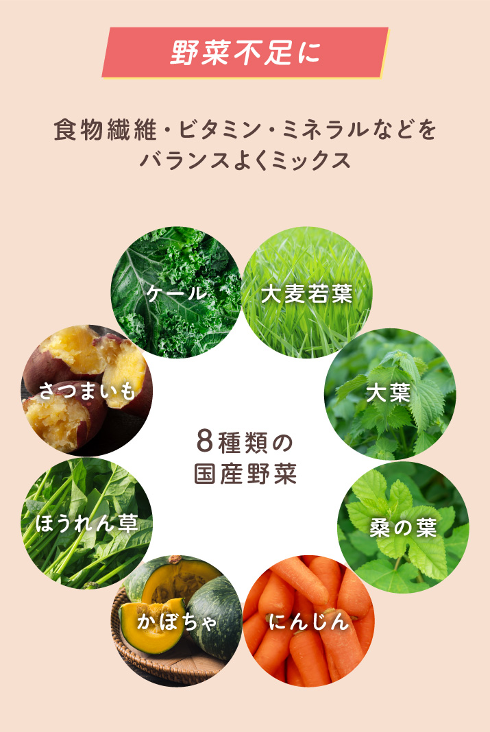 8種類の国産野菜 大麦若葉 大葉 桑の葉 にんじん かぼちゃ ほうれん草 さつまいも ケール