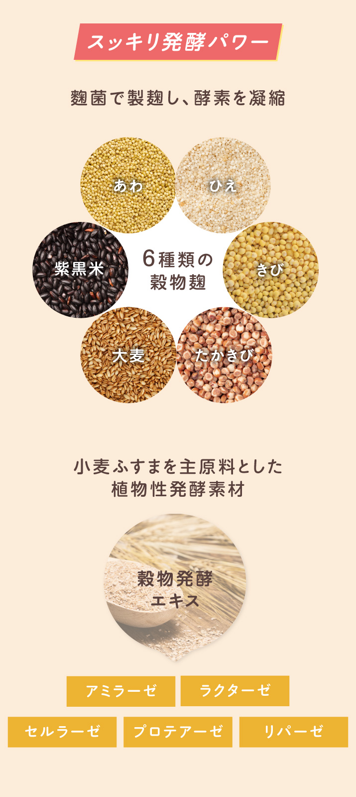 スッキリ発酵パワー 6種類の穀物麹 穀物発酵エキス