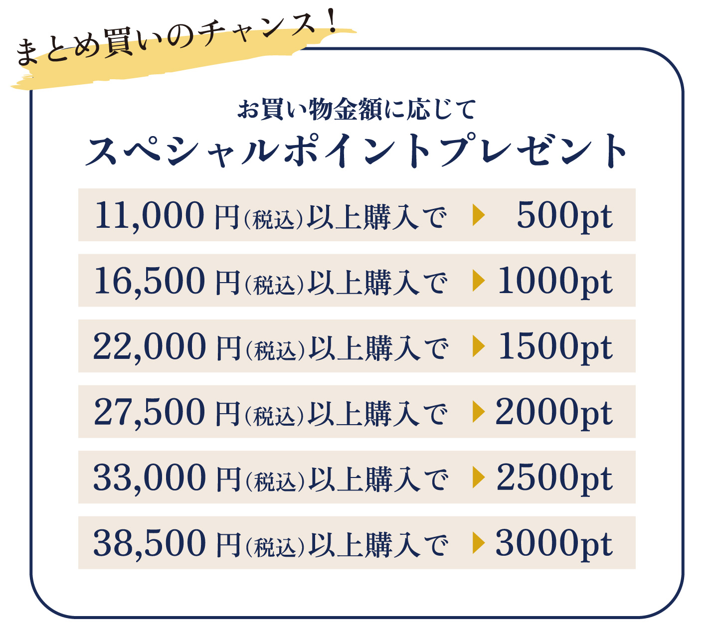 お買い物金額に応じてスペシャルポイントプレゼント