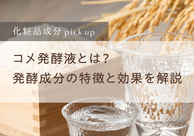 コメ発酵液とは？発酵成分の特徴と効果を解説